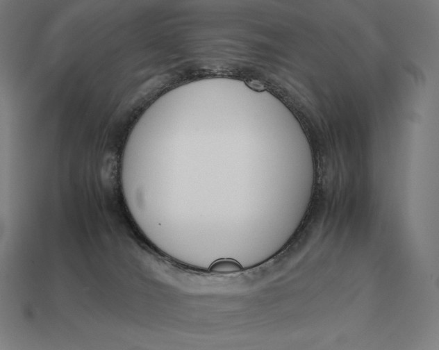 X0000113170036200909181841