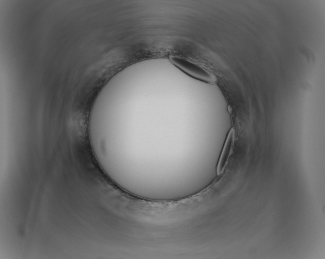 X0000113170037200909181841