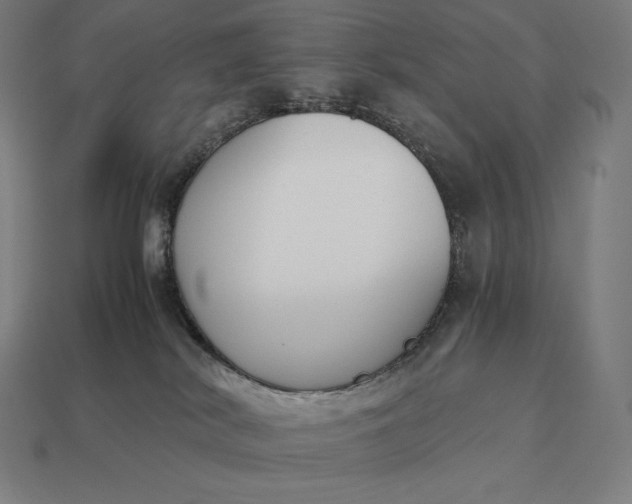 X0000113170038200909181841