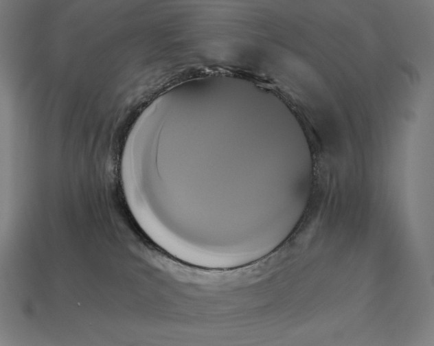 X0000113170039200909181841