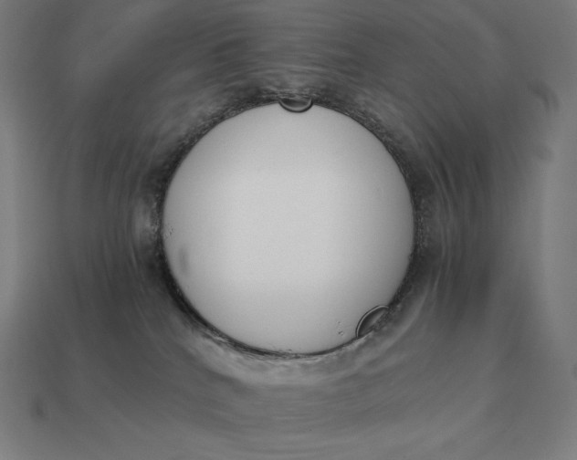 X0000113170040200909181841