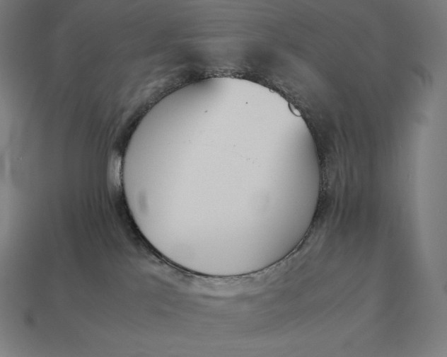 X0000113170041200909181841