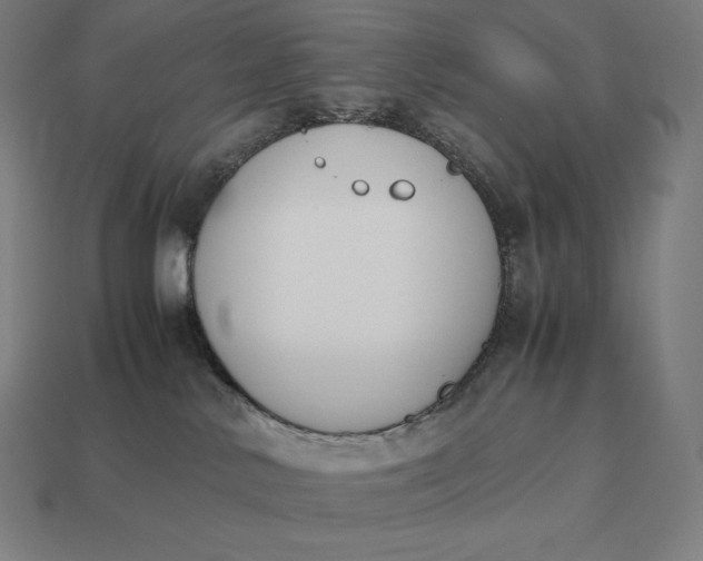 X0000113170042200909181841