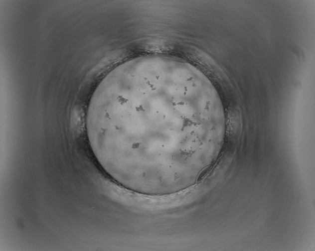 X0000113170043200909181841