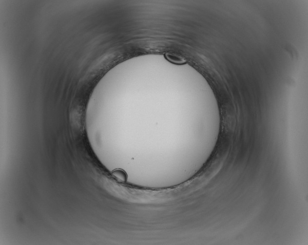 X0000113170044200909181841