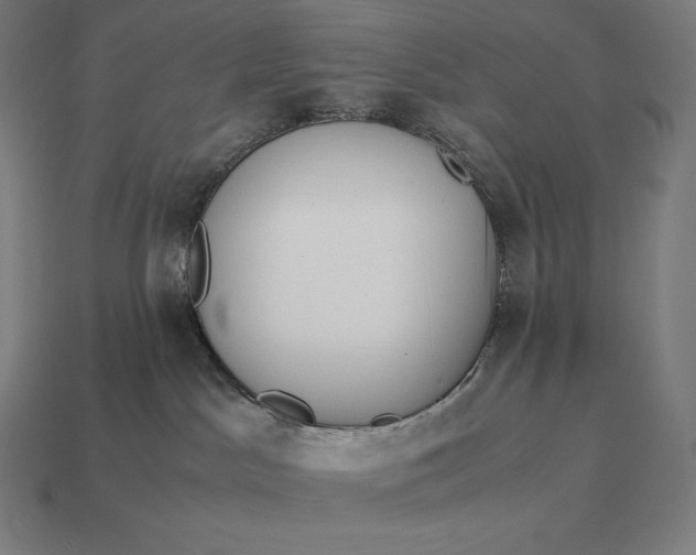 X0000113170045200909181841