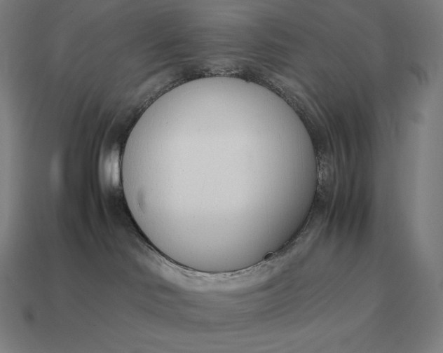 X0000113170046200909181841