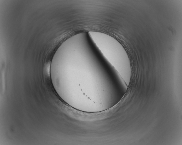 X0000113170047200909181841