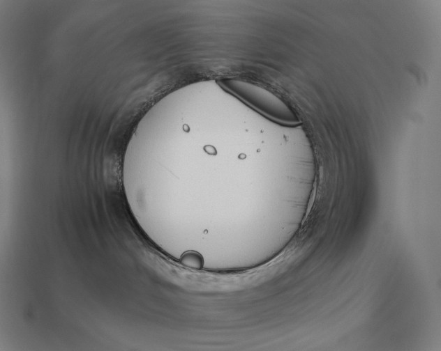 X0000113170048200909181841