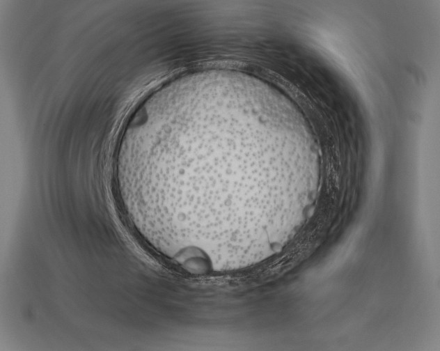 X0000113170049200909181840