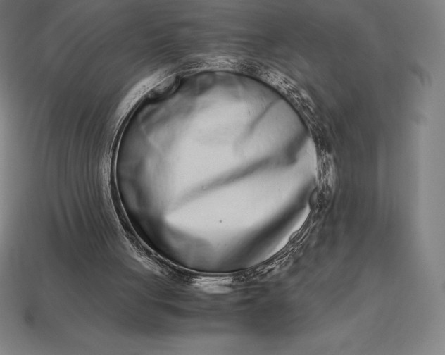 X0000113170051200909181840