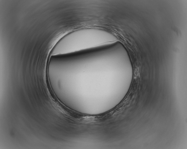 X0000113170052200909181840