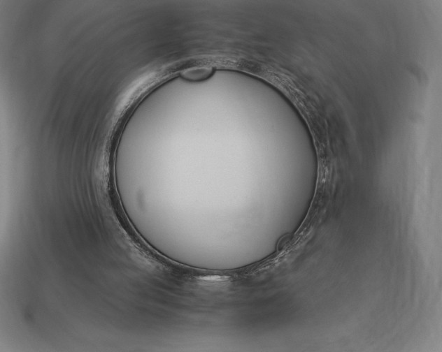 X0000113170053200909181840