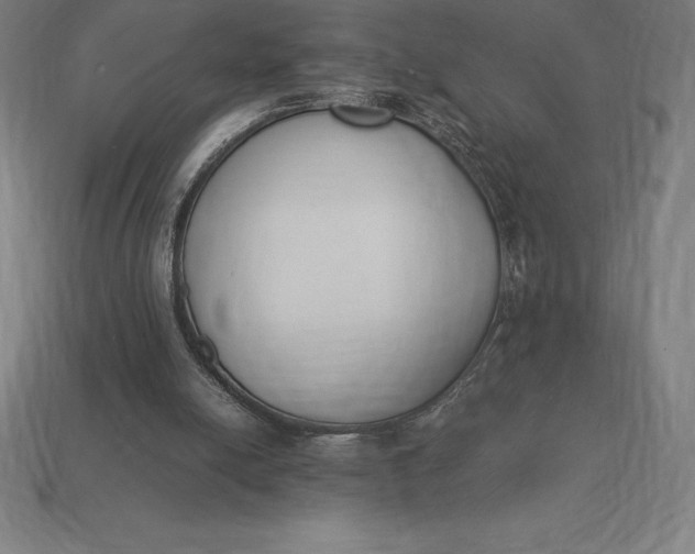 X0000113170054200909181840