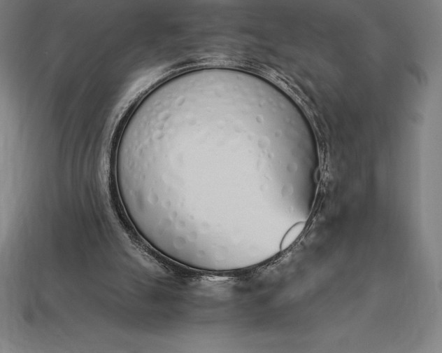 X0000113170055200909181840