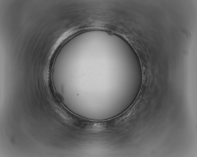 X0000113170056200909181840