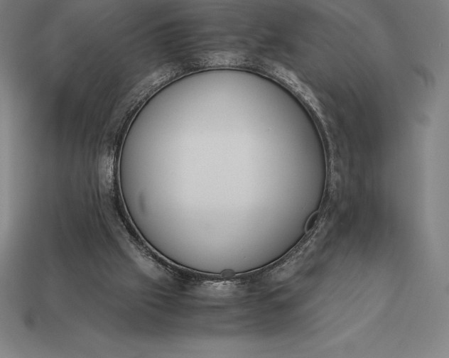 X0000113170057200909181840