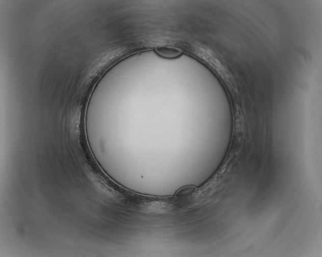 X0000113170058200909181840