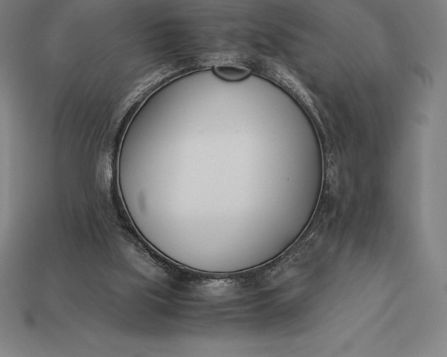 X0000113170059200909181840