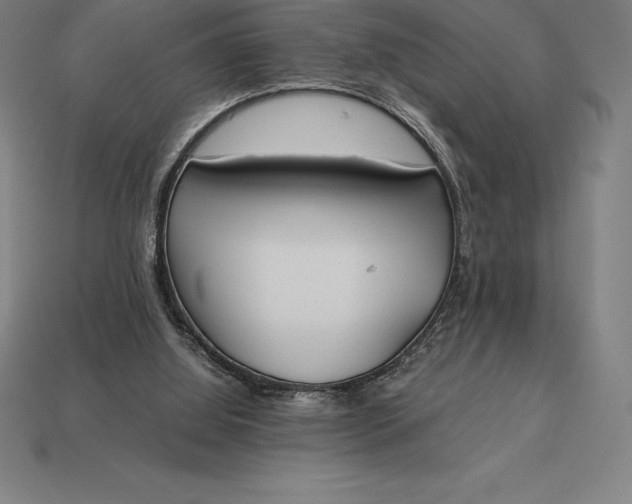 X0000113170060200909181840