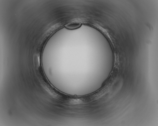 X0000113170061200909181840