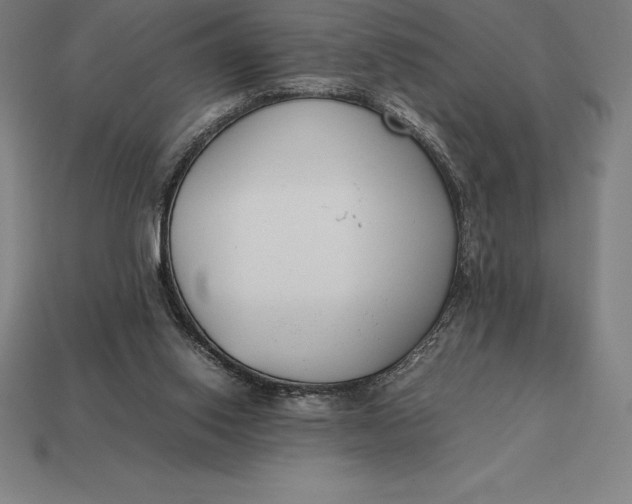 X0000113170062200909181840