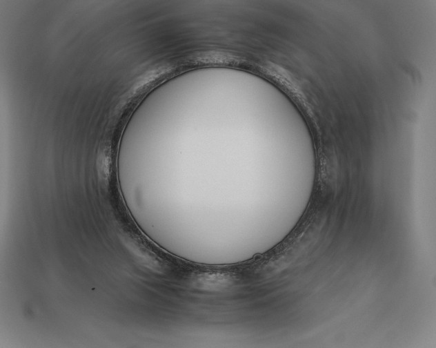 X0000113170063200909181840