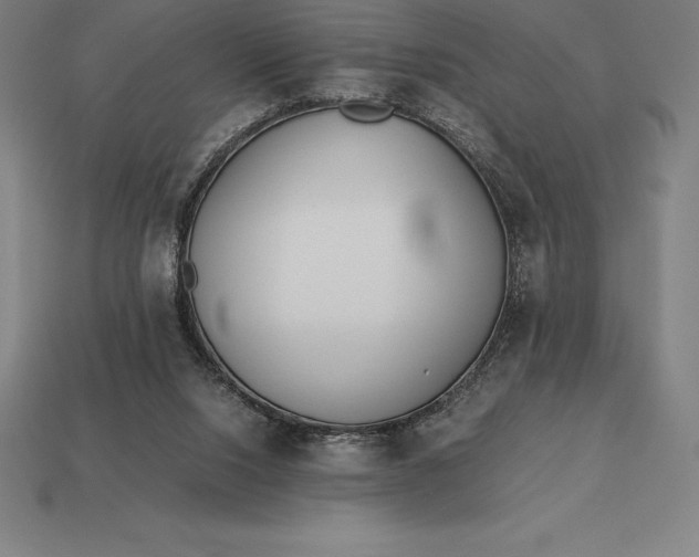 X0000113170064200909181840