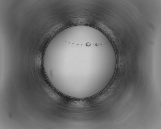 X0000113170065200909181840