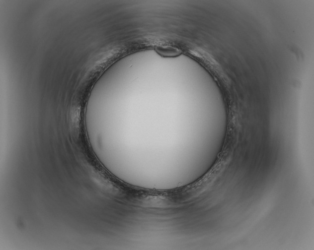 X0000113170066200909181840