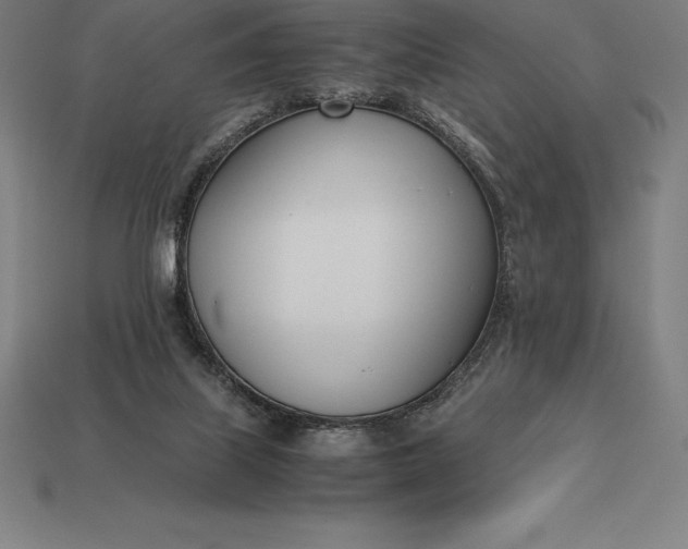 X0000113170067200909181840