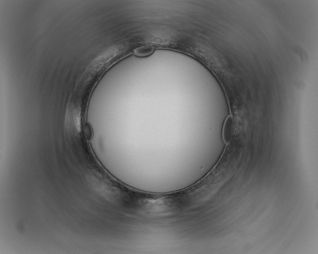 X0000113170068200909181840