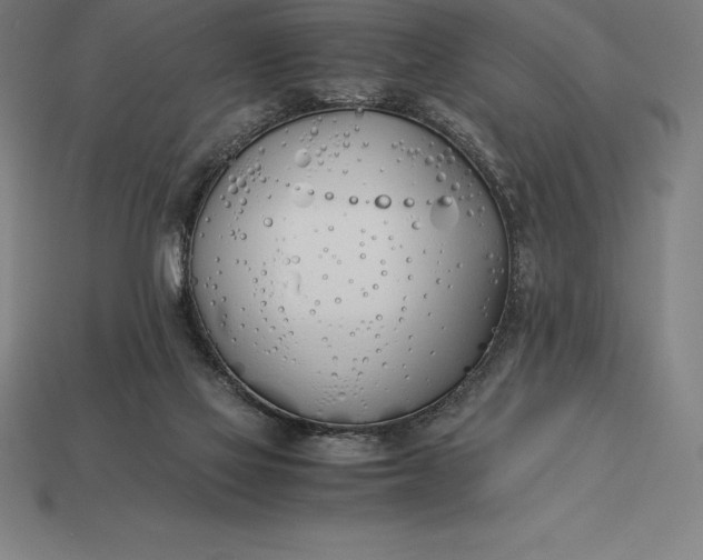 X0000113170069200909181840