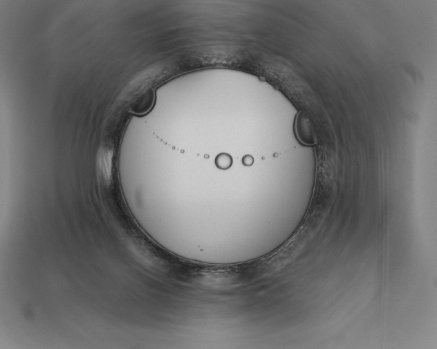 X0000113170070200909181840