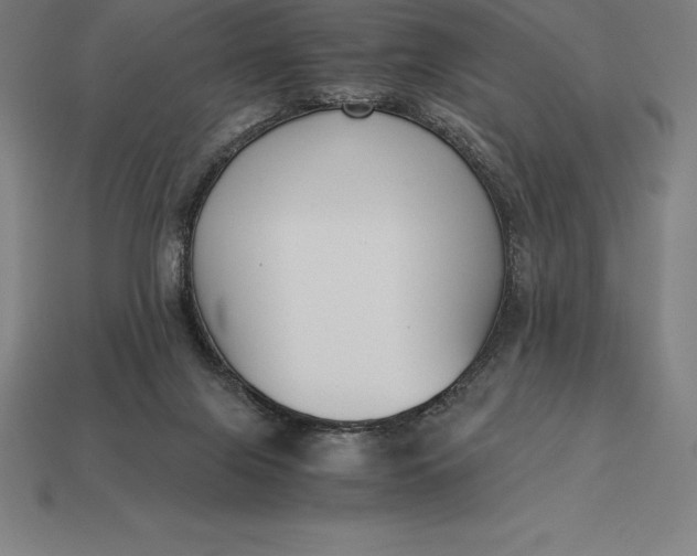 X0000113170071200909181840