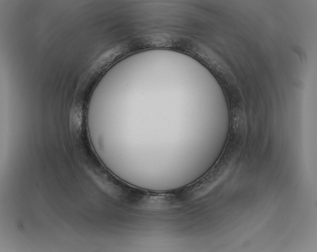 X0000113170072200909181840