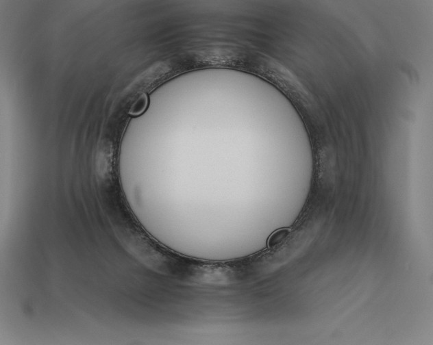 X0000113170073200909181840