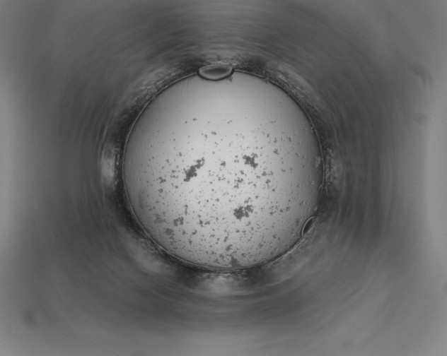 X0000113170074200909181840