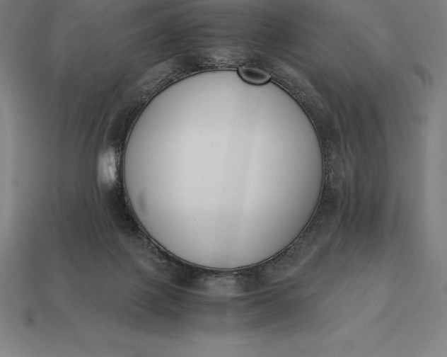 X0000113170075200909181840