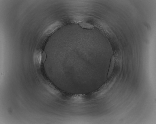 X0000113170076200909181840