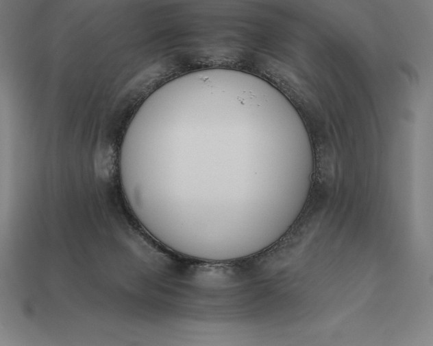 X0000113170077200909181840