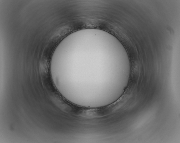 X0000113170078200909181840