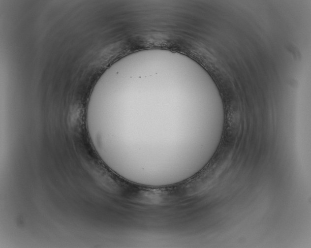 X0000113170079200909181841