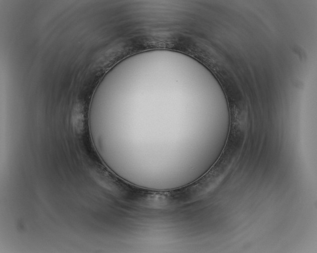 X0000113170080200909181841