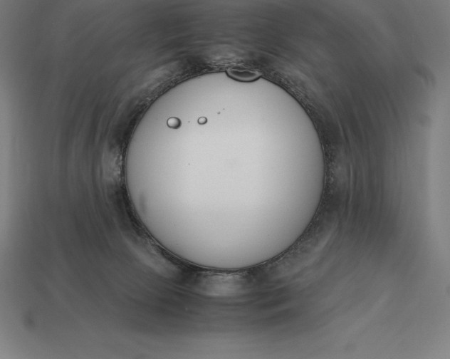 X0000113170081200909181841