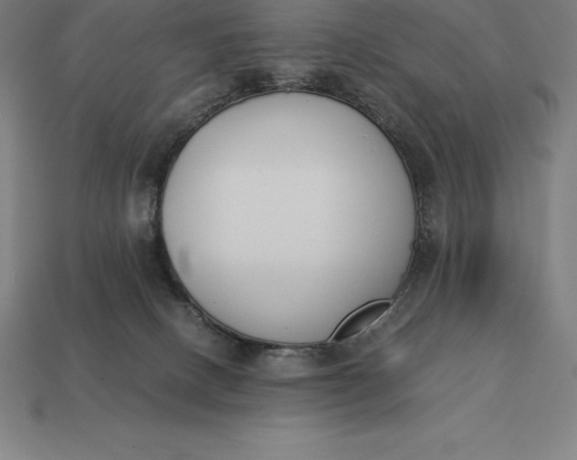 X0000113170082200909181841