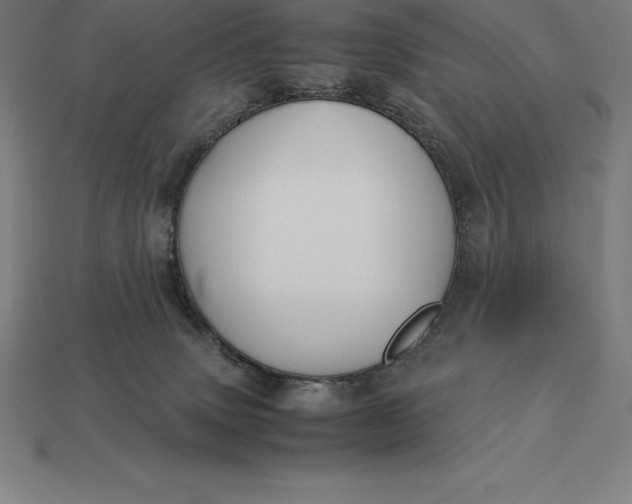 X0000113170083200909181841