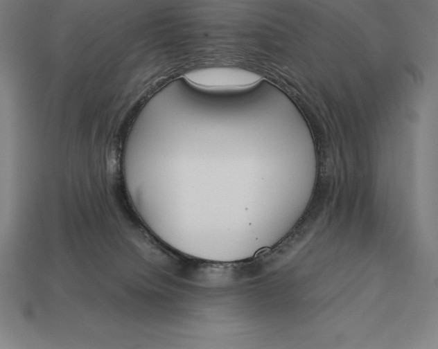 X0000113170084200909181841