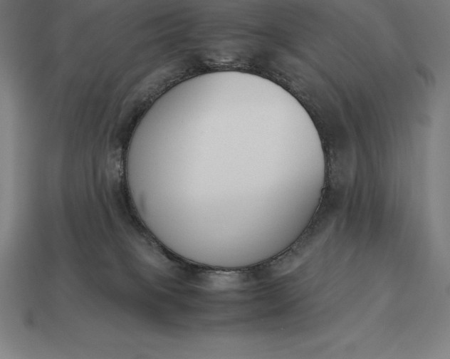 X0000113170085200909181841