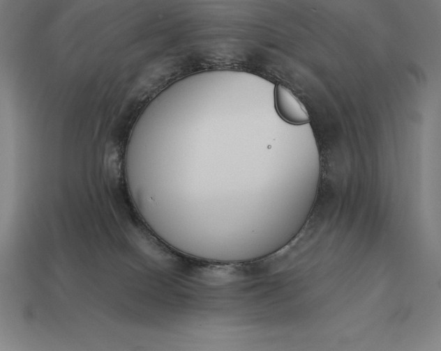 X0000113170086200909181841